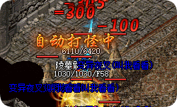 <strong>从骨灵到神兽：76版道士召唤兽养成手记</strong>