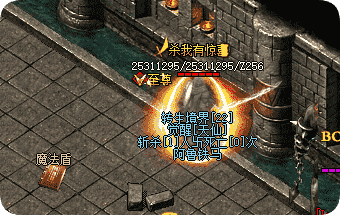 <strong>战士也想要魔法盾？三职业混学神技的真实门槛</strong>